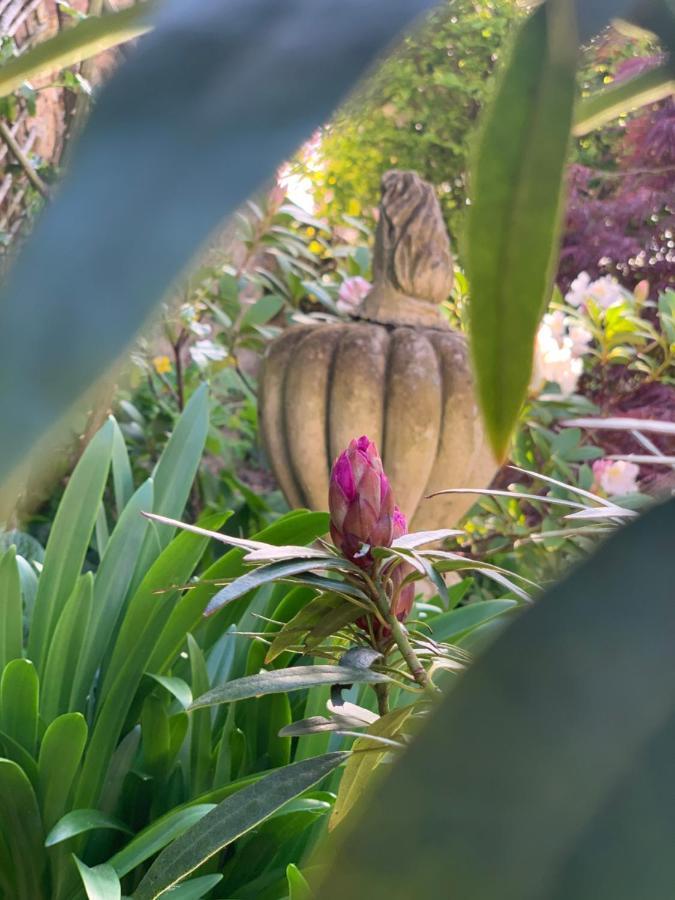Cote Jardin Bed & Breakfast Sainte-Suzanne  Bagian luar foto