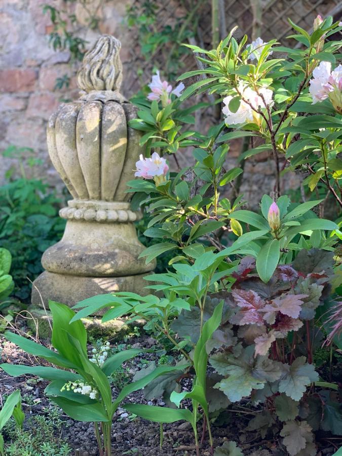 Cote Jardin Bed & Breakfast Sainte-Suzanne  Bagian luar foto
