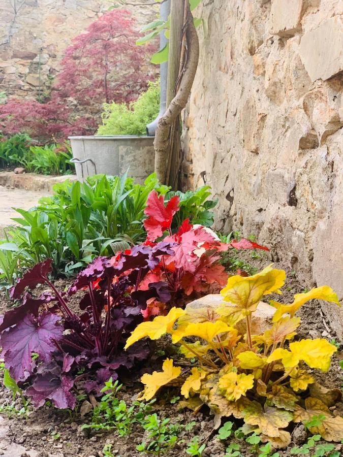 Cote Jardin Bed & Breakfast Sainte-Suzanne  Bagian luar foto