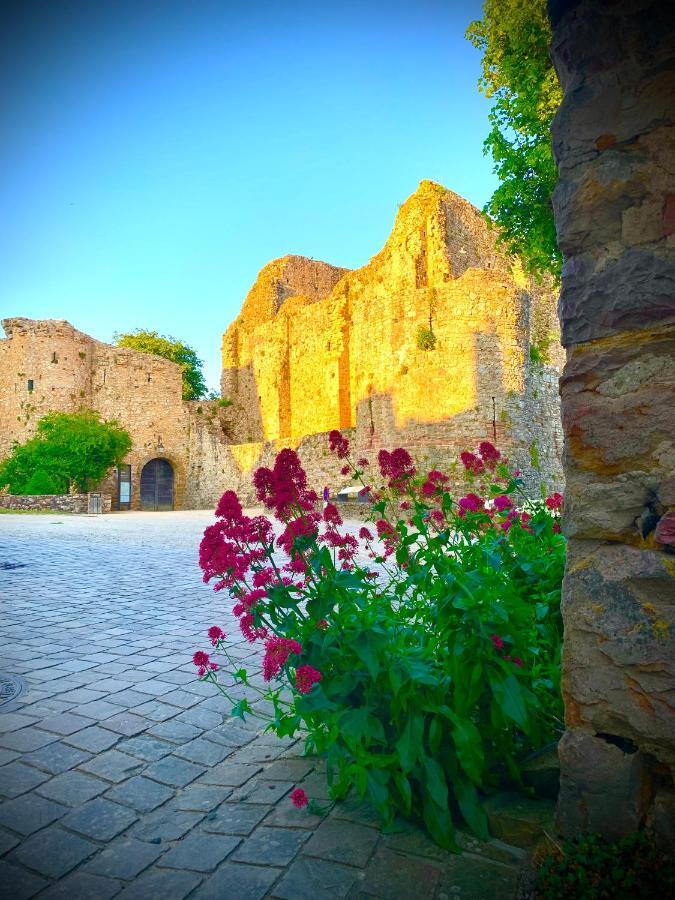 Cote Jardin Bed & Breakfast Sainte-Suzanne  Bagian luar foto
