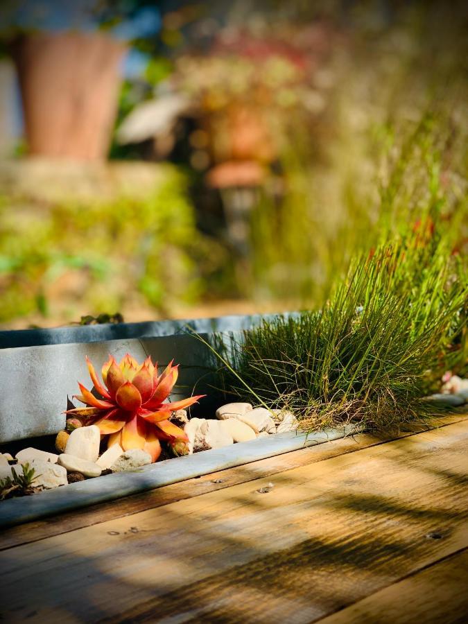 Cote Jardin Bed & Breakfast Sainte-Suzanne  Bagian luar foto