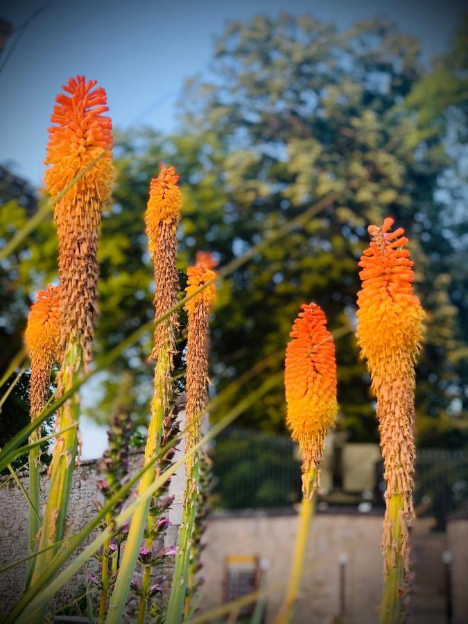 Cote Jardin Bed & Breakfast Sainte-Suzanne  Bagian luar foto